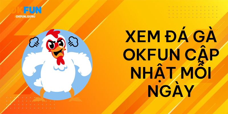 Xem đá gà okfun cập nhật mỗi ngày